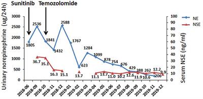 Temozolomide Is a Potential Therapeutic Tool for Patients With Metastatic Pheochromocytoma/Paraganglioma—Case Report and Review of the Literature